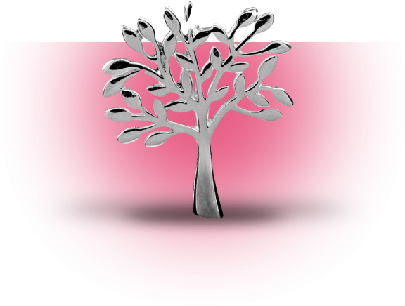 Vision, Password, Values